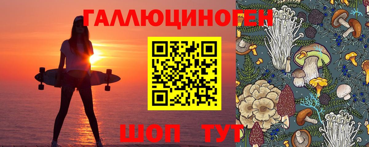 Сафоново  Галлюциногенные грибы прущие грибы  Вход с VPN 
