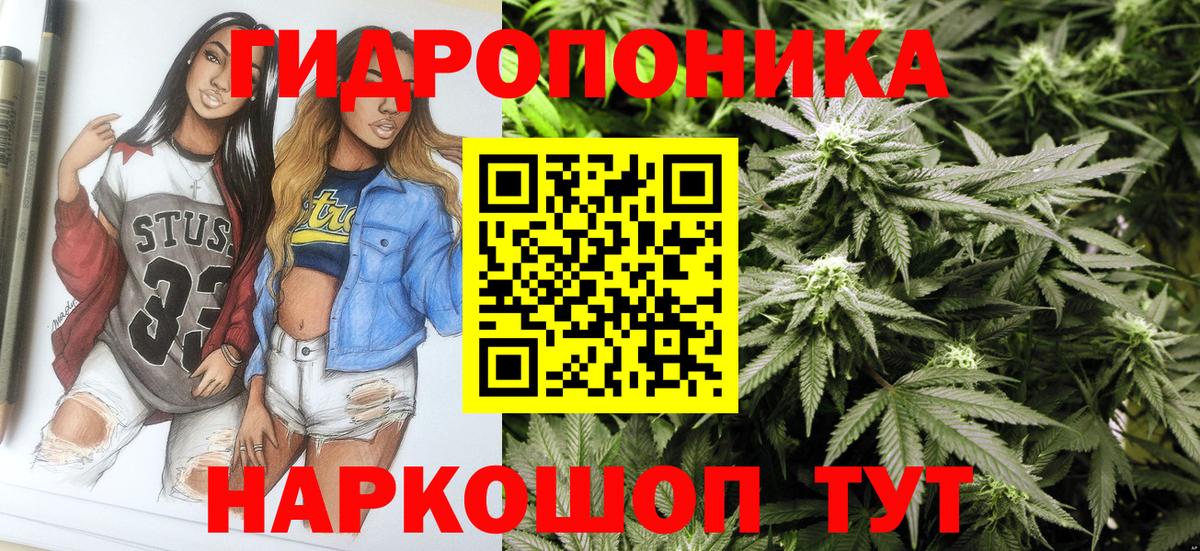 Конопля гибрид Сафоново